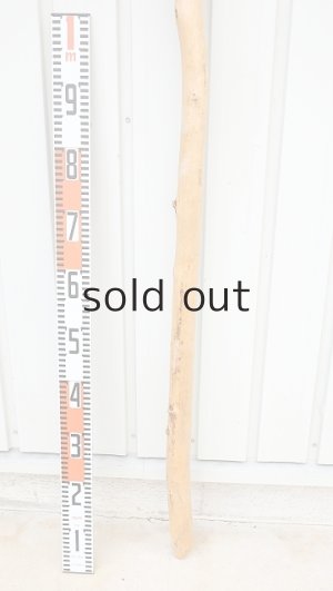 画像5: 棒流木・長尺