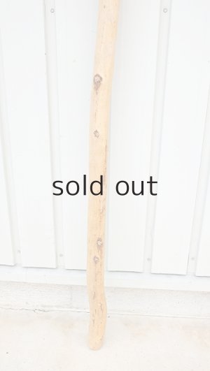 画像2: 棒流木・長尺