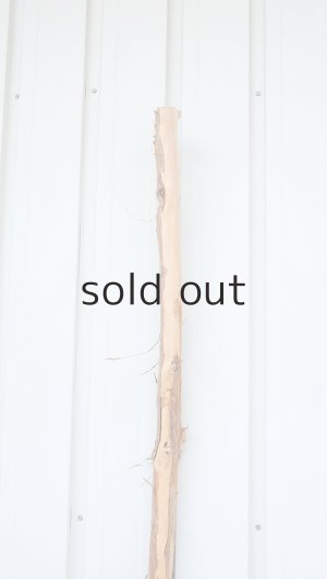 画像5: 棒流木・長尺