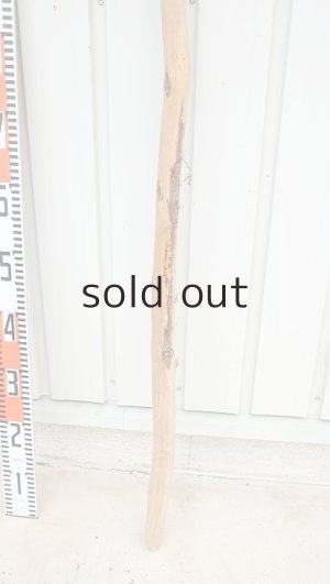 画像5: 棒流木・長尺