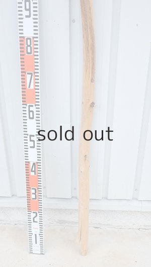 画像6: 棒流木・長尺