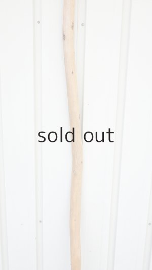 画像3: 棒流木・長尺