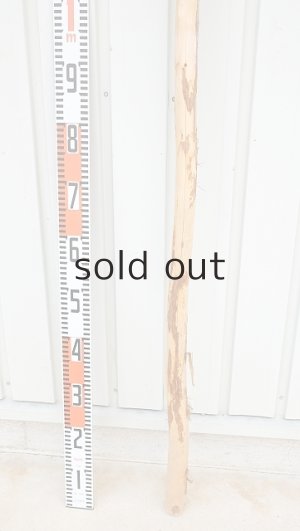 画像5: 棒流木・長尺