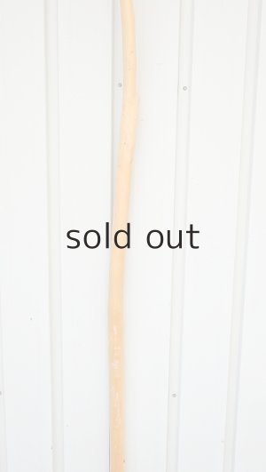 画像3: 棒流木・長尺