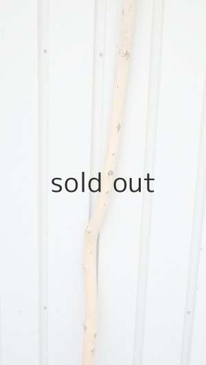 画像3: 棒流木・長尺