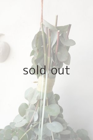 画像2: Dry plants for decor 銀丸葉ユーカリシンプルスワッグ