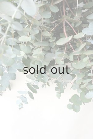 画像5: Dry plants for decor 銀丸葉ユーカリシンプルスワッグ