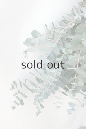 画像3: Dry plants for decor 銀丸葉ユーカリシンプルスワッグ