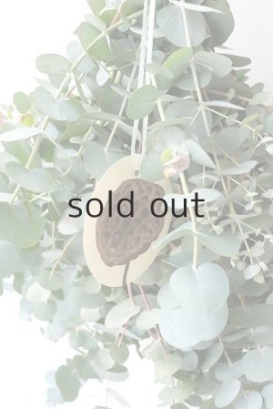 画像4: Dry plants for decor 銀丸葉ユーカリシンプルスワッグ