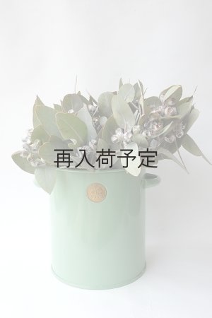 画像4: Dry plants for decor 乾燥ユーカリ・テトラゴナシルバー（実付き）Ｍサイズ