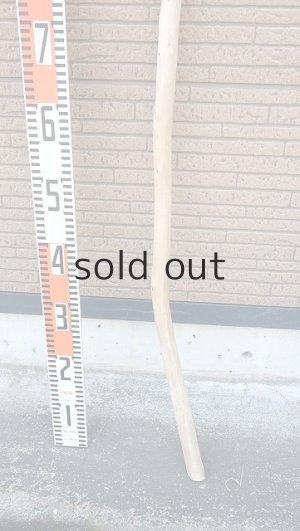 画像5: 棒流木・長尺