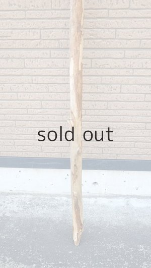 画像2: 棒流木・長尺