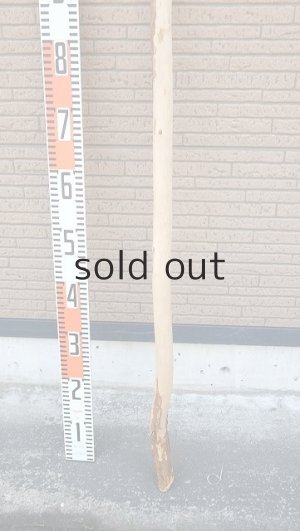 画像5: 棒流木・長尺