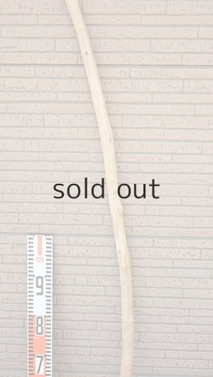 画像6: 棒流木・長尺