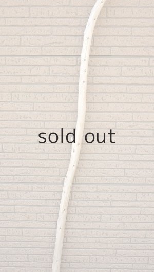 画像3: 棒流木・長尺