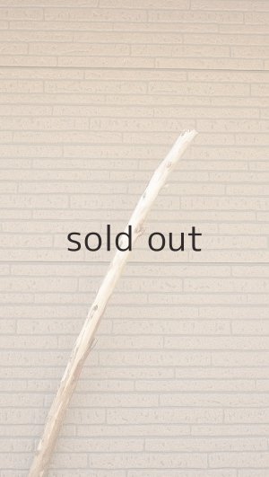 画像5: 棒流木・長尺