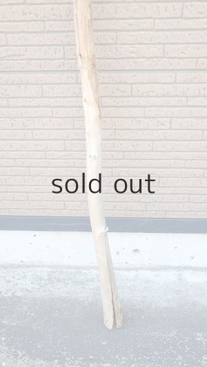 画像2: 棒流木・長尺