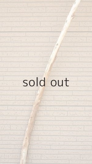 画像4: 棒流木・長尺