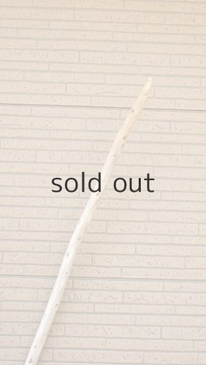 画像4: 棒流木・長尺