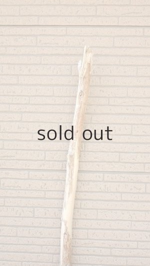 画像4: 棒流木・長尺