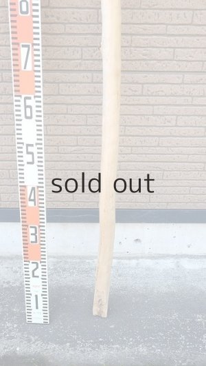 画像6: 棒流木・長尺