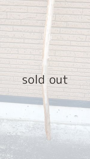 画像2: 棒流木・長尺