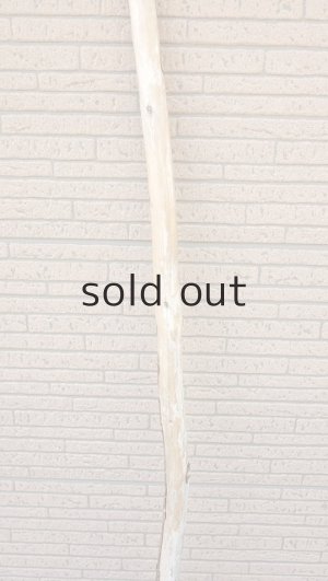 画像3: 棒流木・長尺