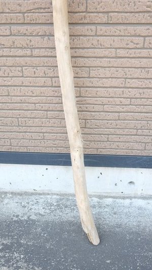 画像2: 棒流木・長尺