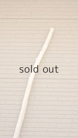 画像5: 棒流木・長尺