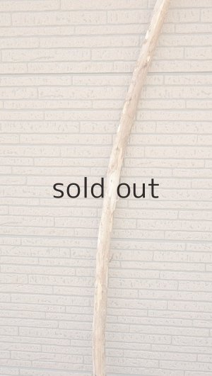 画像3: 棒流木・長尺