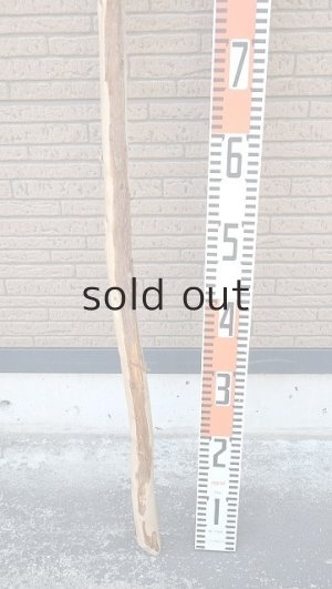 画像6: 棒流木・長尺