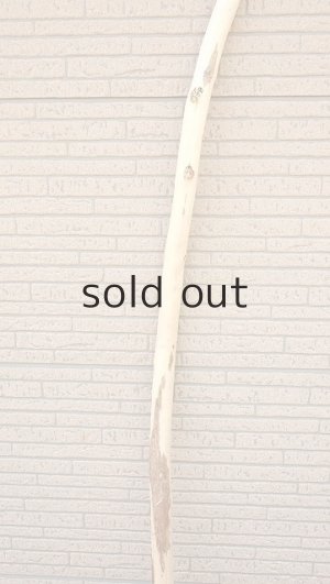 画像3: 棒流木・長尺