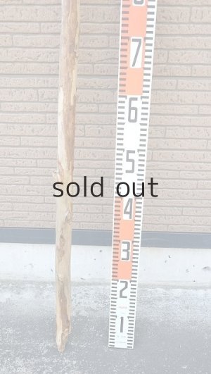 画像5: 棒流木・長尺