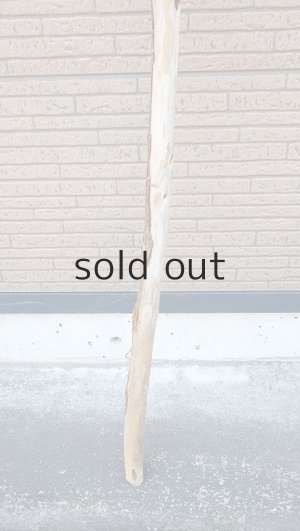 画像2: 棒流木・長尺