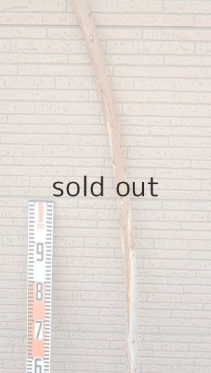 画像7: 棒流木・長尺