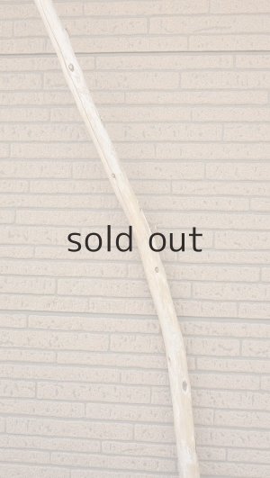 画像4: 棒流木・長尺