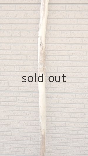 画像3: 棒流木・長尺