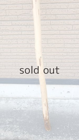 画像2: 棒流木・長尺