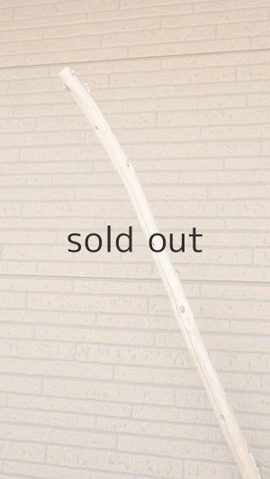 画像5: 棒流木・長尺