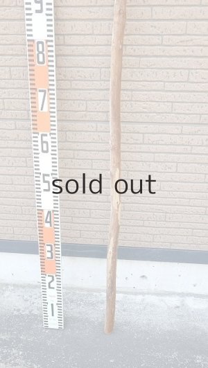 画像5: 棒流木・長尺