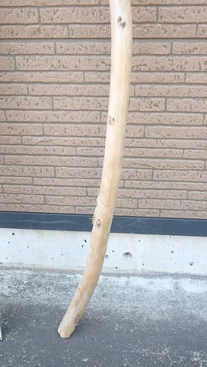 画像6: 棒流木・長尺