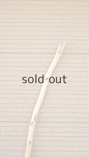 画像4: 棒流木・長尺