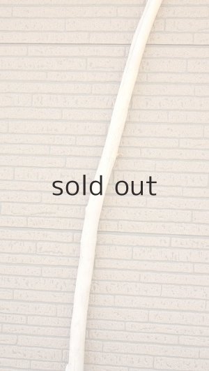 画像4: 棒流木・長尺