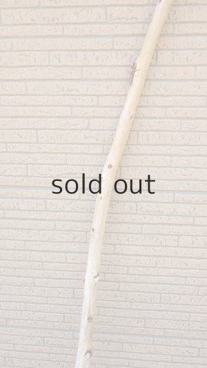 画像3: 棒流木・長尺