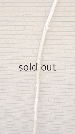 画像3: 棒流木・長尺