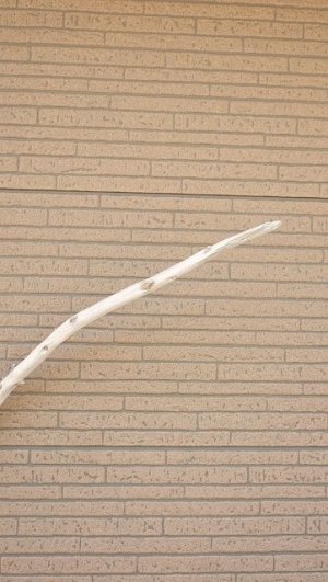 画像5: 棒流木・長尺