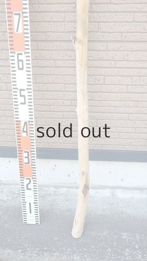 画像5: 棒流木・長尺