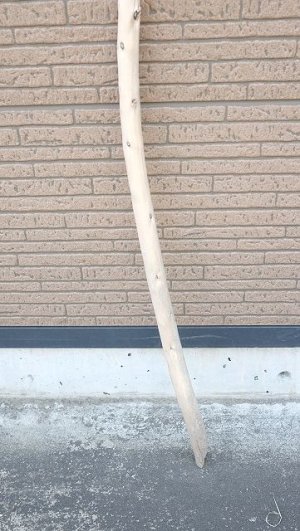 画像2: 棒流木・長尺