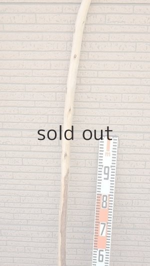 画像7: 棒流木・長尺