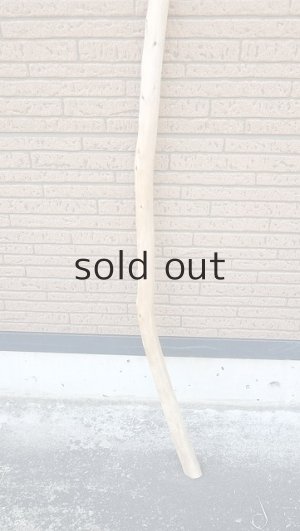 画像2: 棒流木・長尺